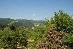 Leibenfeld_Sicht von Terasse