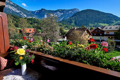 Aussicht großzügiger Balkon