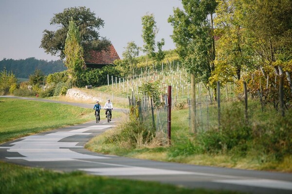 Radfahren-TV St. Ruprecht die Mosbachers  (59)