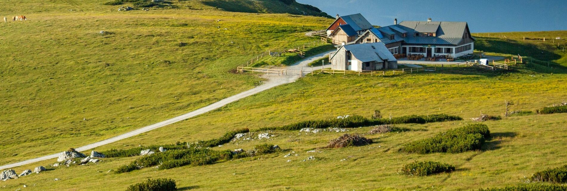 Aussicht zur Lurgbauerhütte