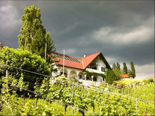 Maitz Urbanikeller Weingut | © Maitz Urbanikeller | Helmut & Mathias Maitz