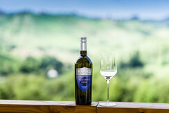 Marko der Weinstricker Ausblick