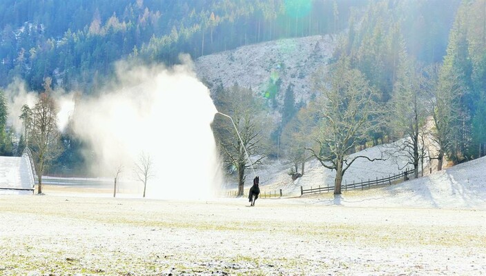 Winterbeginn vor unserem Haus