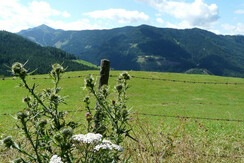 P1000455