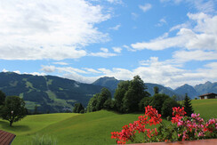 ausblick