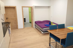 Mountain Whisper Einzimmer Appartement (1)