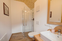 Haus Toplitzsee plus Badezimmer Dusche 1 