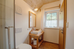 Haus Salzkammergut plus Badezimmer 2 mit Dusche 2