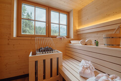 Haus Salzkammergut plus Saunahaus 2