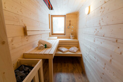 Haus Toplitzsee Sauna 2
