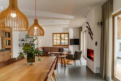 living room area with effect fire