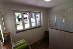 Bad, Der erste Rafter Europas