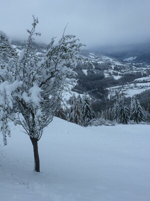 Winter Aussicht | © Doris Trieb