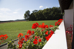 Pension_Annahof_StubenbergSee-8872