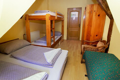 IMG_2546 B_Black sheeps