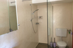 Shower and toilet