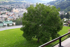 Appartement Blick auf Schladming