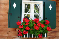 wunderschöner Anblick