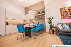 Penthouse_am_Sonnenhang_03_Kitchen