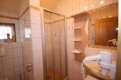 Shower/Toilet 1