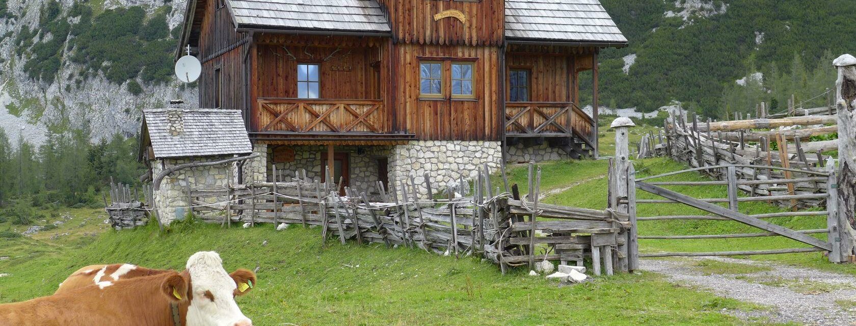 Popphütte im Sommer, Tauplitzalm