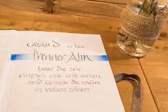 almhuette-almerin-prenner-alm-hauser-kaibling-10-1