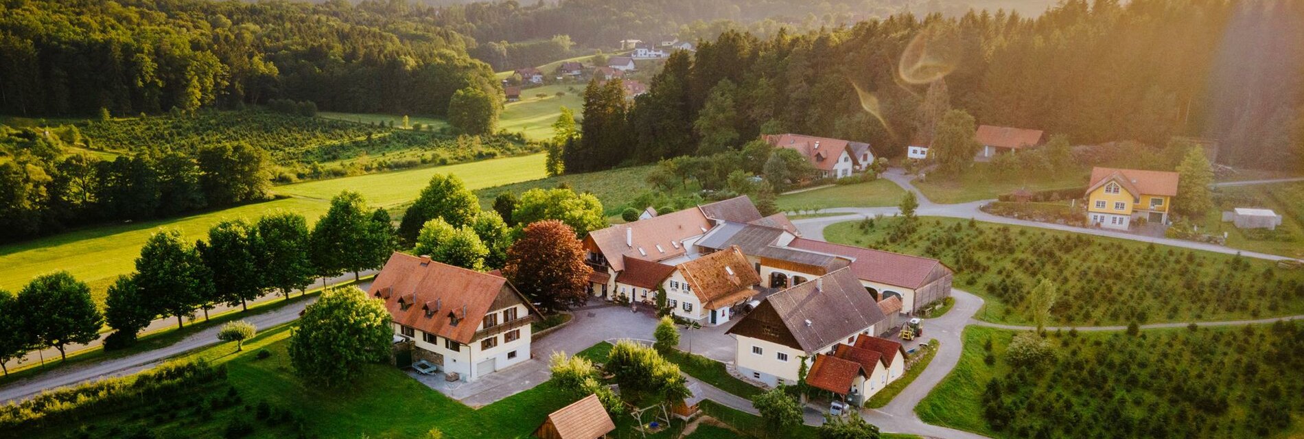 Abensstimmung am Krainerhof