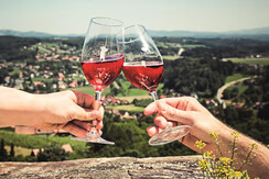 Prost im Schilcherland