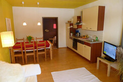 Wohnküche Apartment Hauser Kaibling