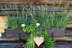 Ritzingerhütte (30)