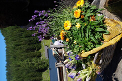 Ritzingerhütte (31)