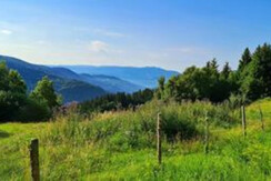 Fernblick vom Roschitzhof in das Drautal (Groß)