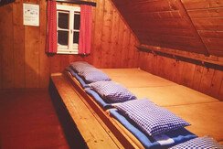 Matratzenlager für 5 Personen und Hunde