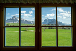 View from the living kitchen