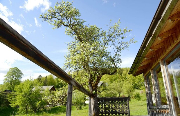 Steffhaus, Bad Aussee, Terrasse | © Steffhaus