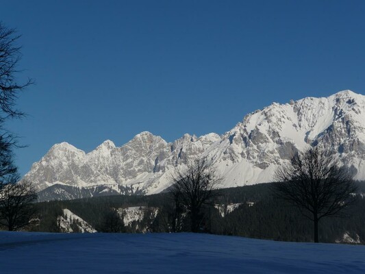 Der Blick vom Hof im Winter | © Steinwender