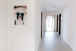Steira Studios Durchgang