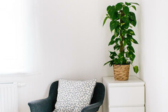 Steira Studios Sitzecke