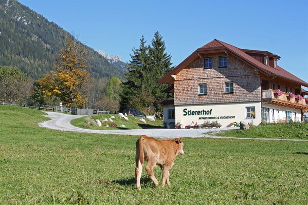 Urlaub am Bauernhof