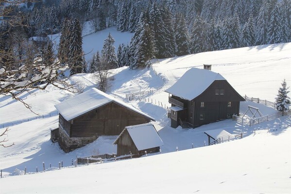 Winter Ferienhaus Strausseralm