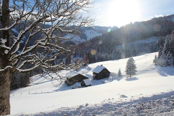 Ferienhaus Strausseralm Winter