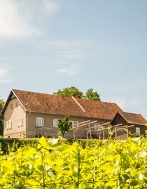 Tement Winzarei Südsteiermark | © Tement Winzarei | Manfred Tement | © Tement Winzarei | Manfred Tement