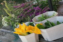 2021 8 Kräuter am Tisch im Sommer