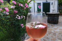 2021 5 Rosenspritzer