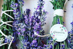 2021 Lavendelsträßchen