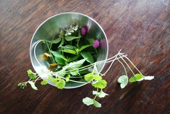 2021 7 Brennessel_Gundelrebe_Sommer