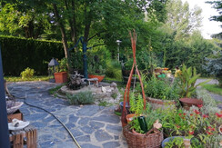 2021 8 Kräuterplatzerl