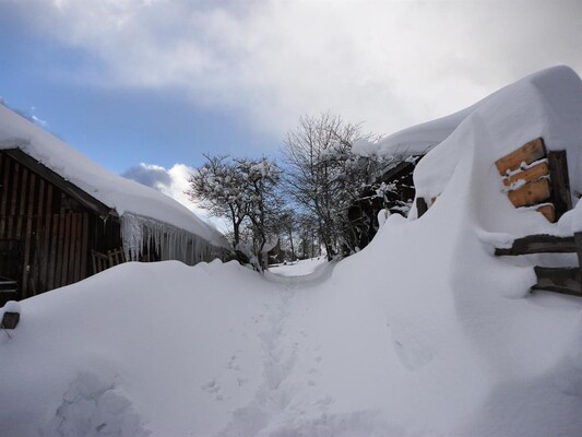 Winter Landschaft