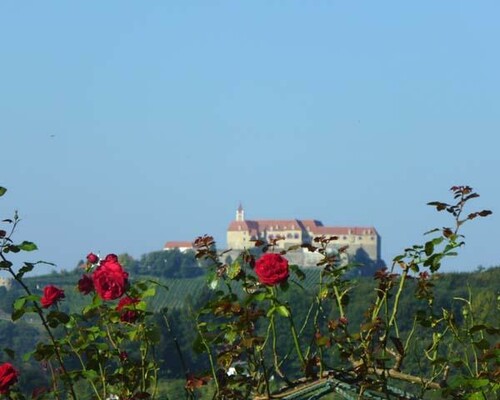 Blick zur Riegersburg