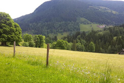 Ausblick von der Terasse